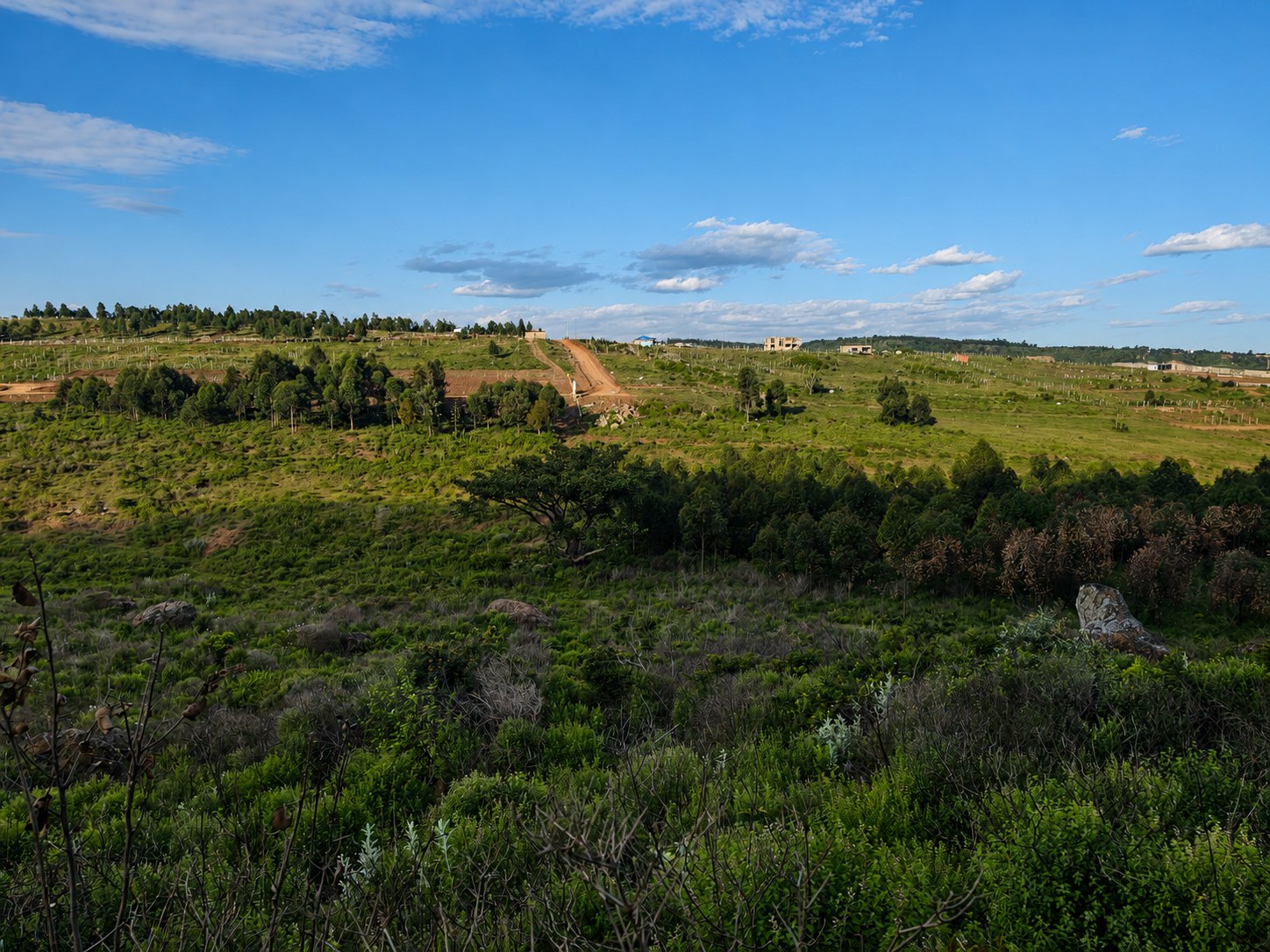 Green hillside and open land in Kamangu