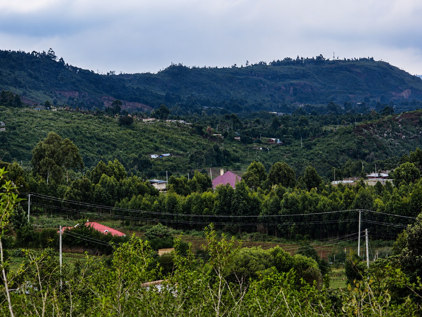 Surrounding hillside and homes