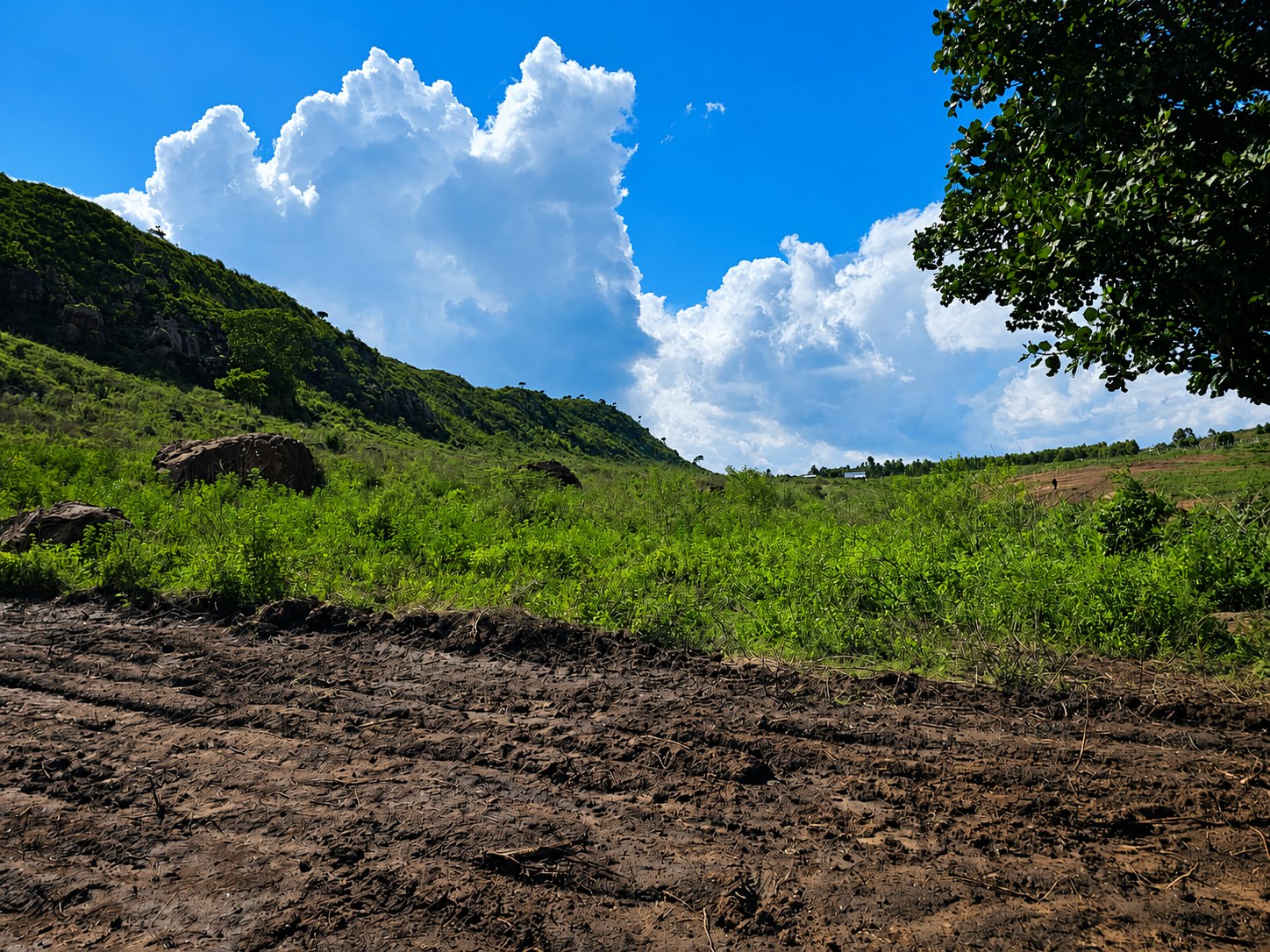 Land, vegetation and hillside under open skies