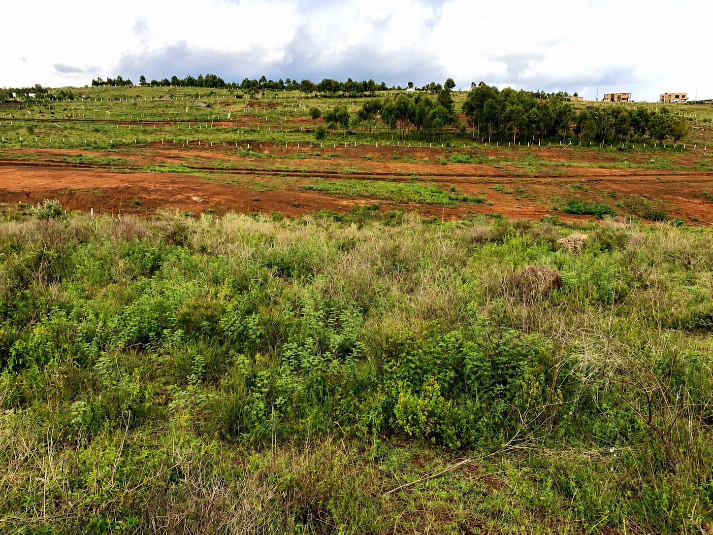 View of the land and nearby countryside