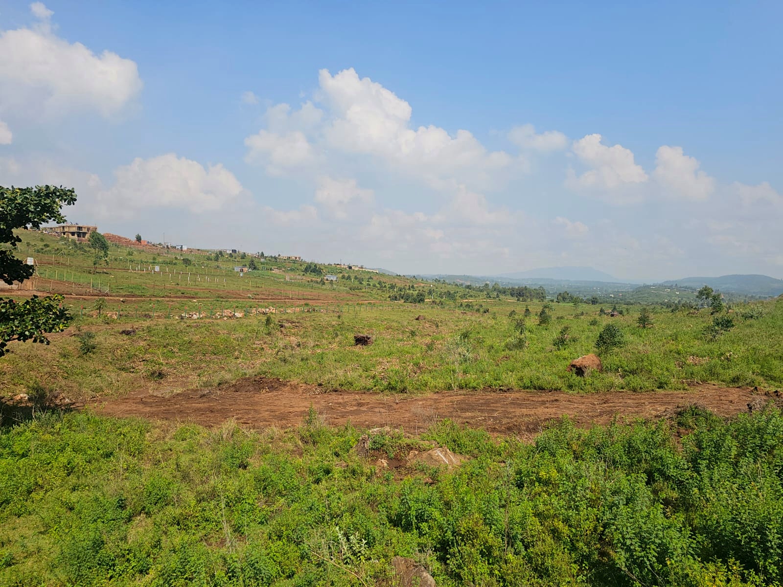 Open countryside and rolling green land in Kikuyu, Kamangu